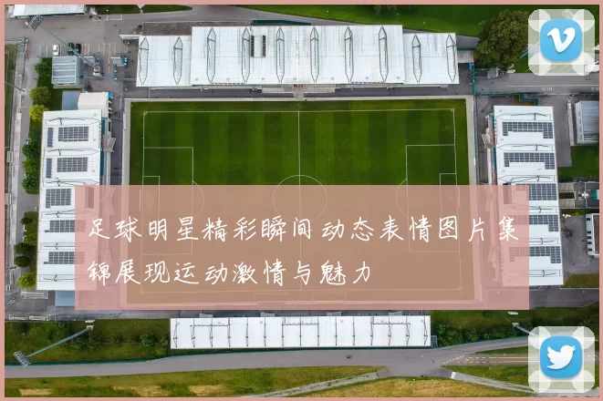 足球明星精彩瞬间动态表情图片集锦展现运动激情与魅力
